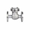 Flanged Horizontal Check Valve